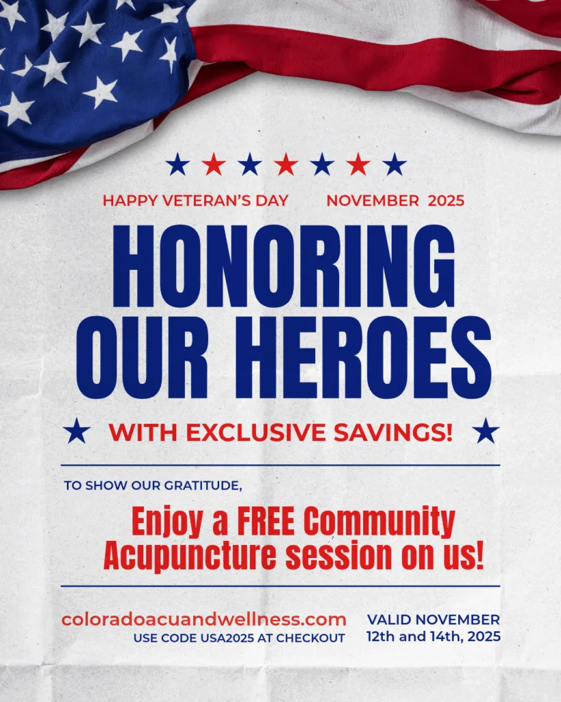 veterans day flyer